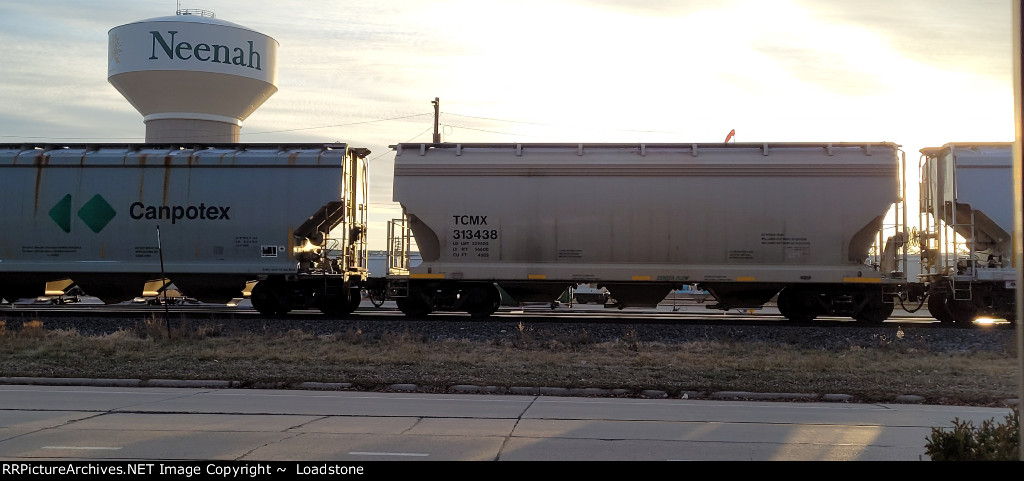TCMX 313438