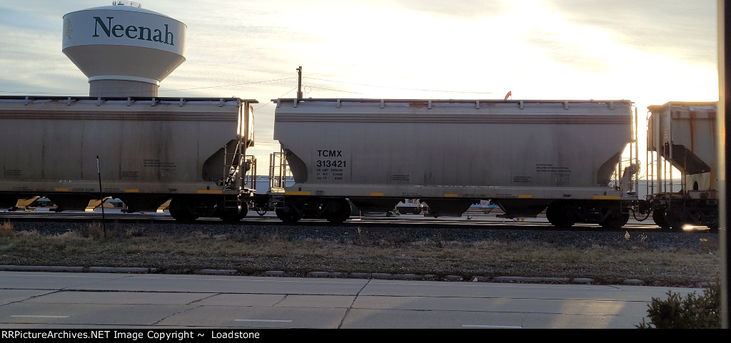 TCMX 313421