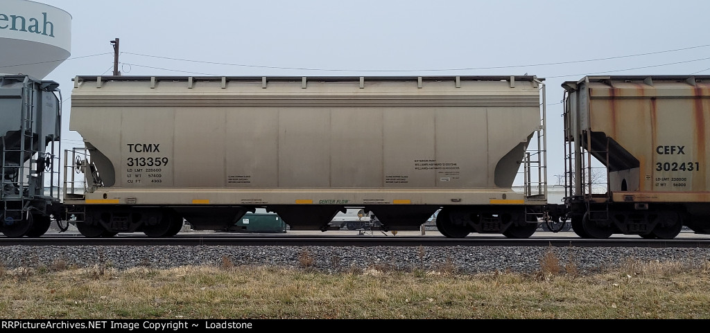 TCMX 313359
