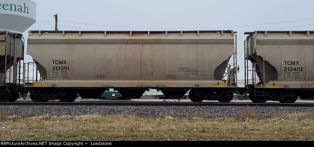 TCMX 313391