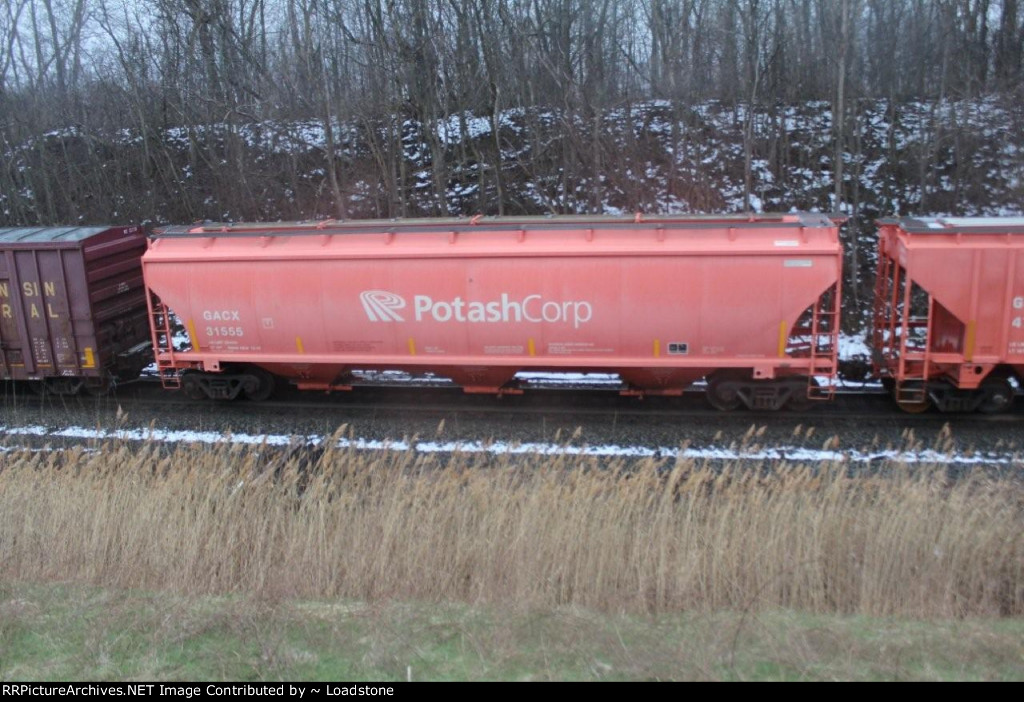 GACX 31555