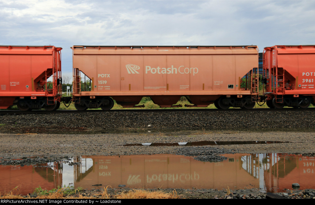 POTX 1519