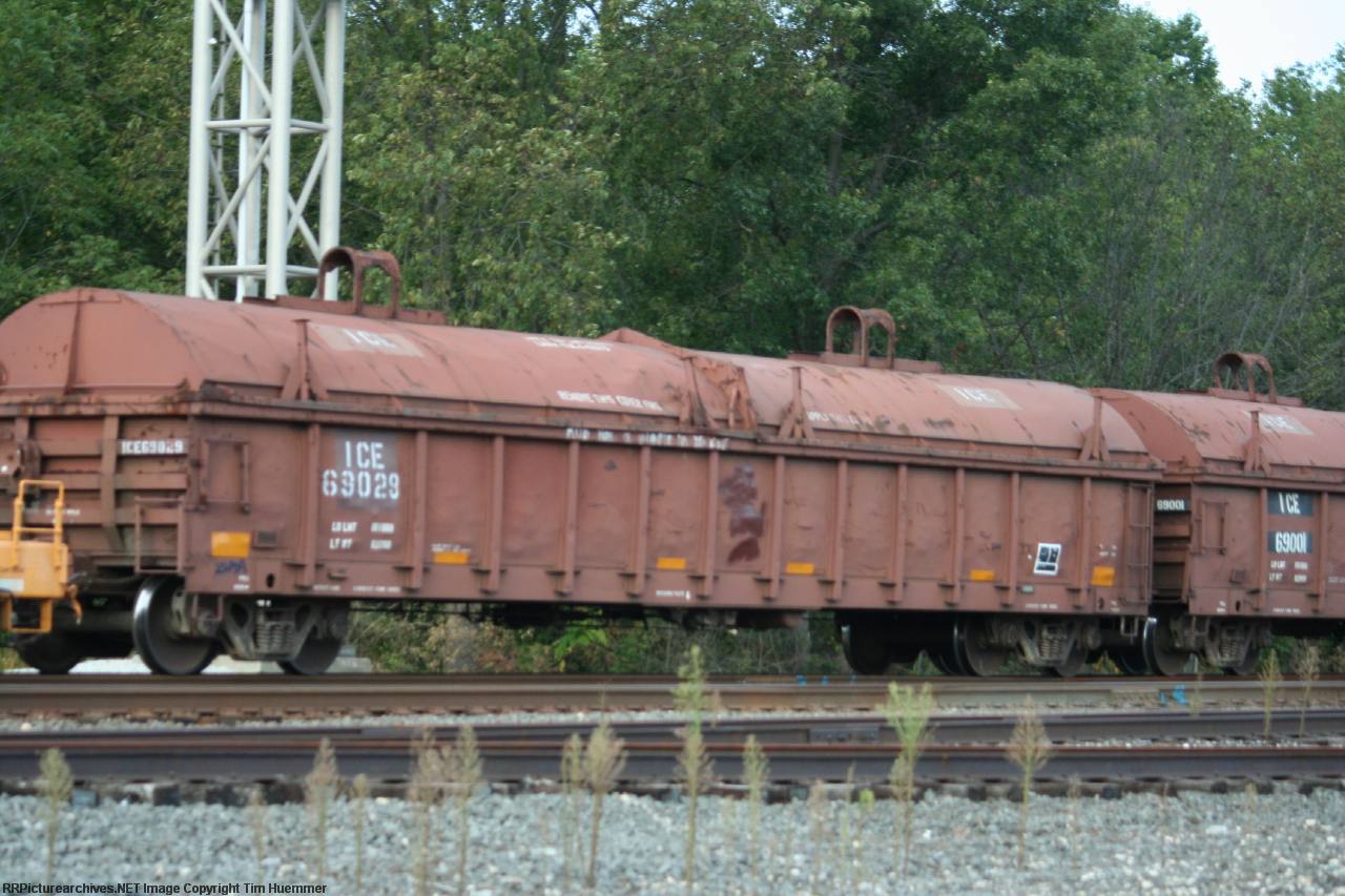 ICE 69029