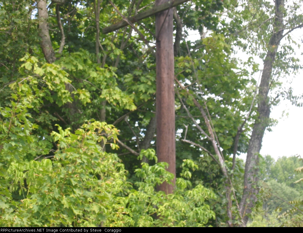  Single Crossarm Telephone Pole