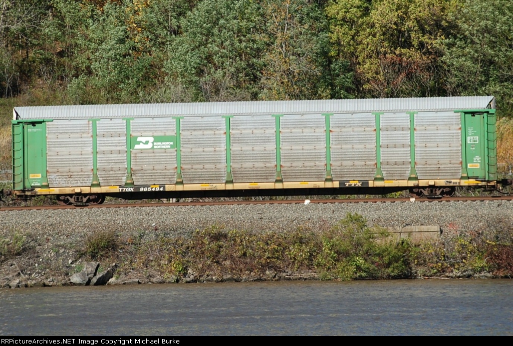 TTGX 965494