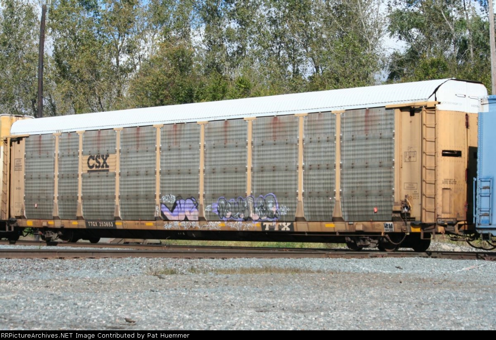 TTGX 253653