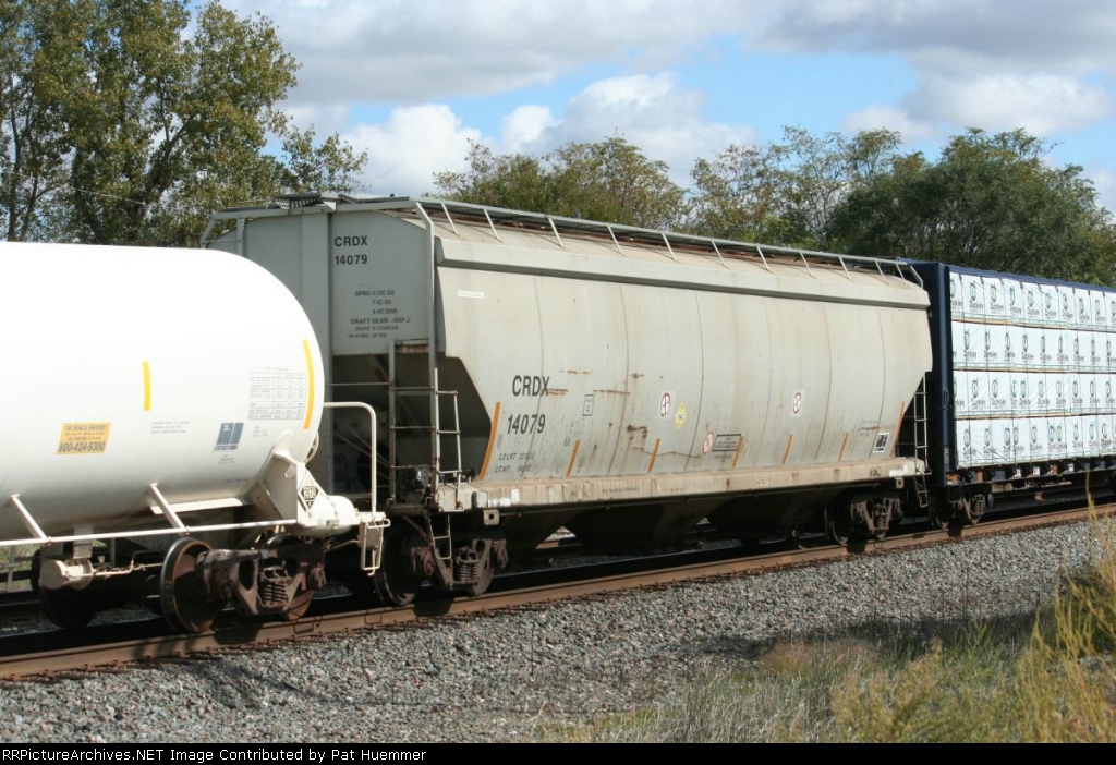CRDX 14079