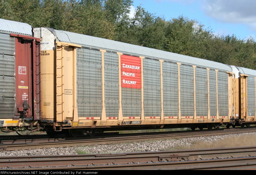 TTGX 988589