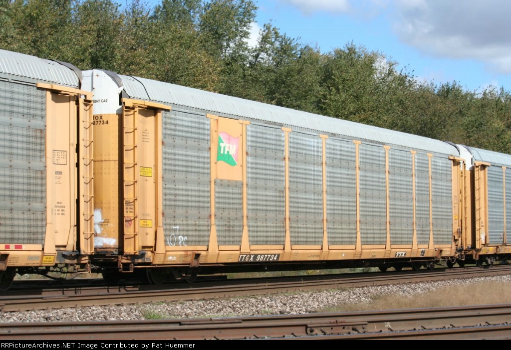 TTGX 987734