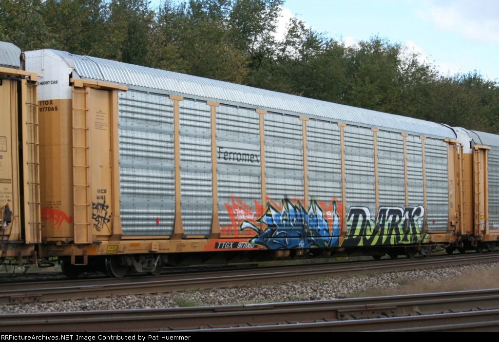 TTGX 977065