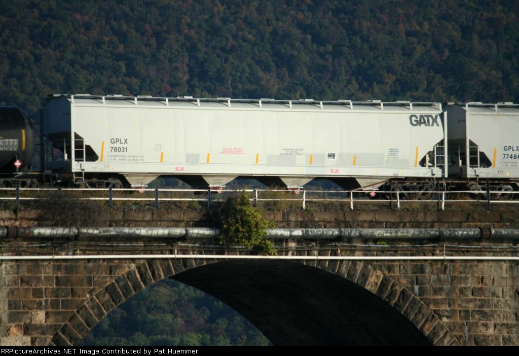 GPLX 78031