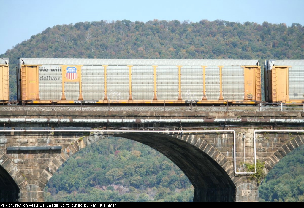 TTGX 973807