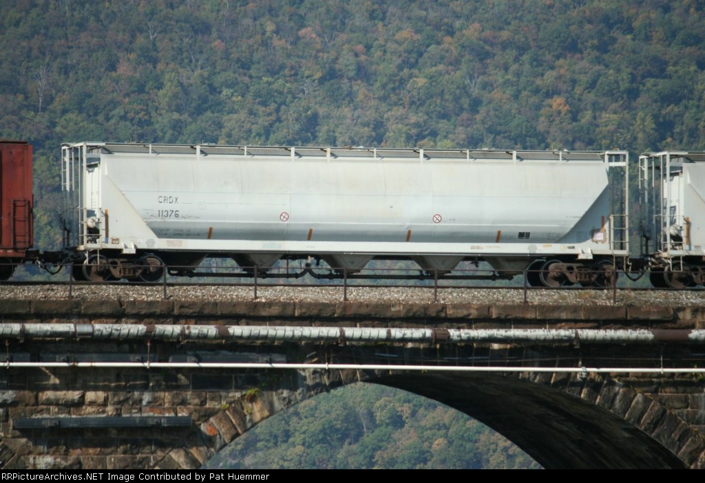CRDX 11376