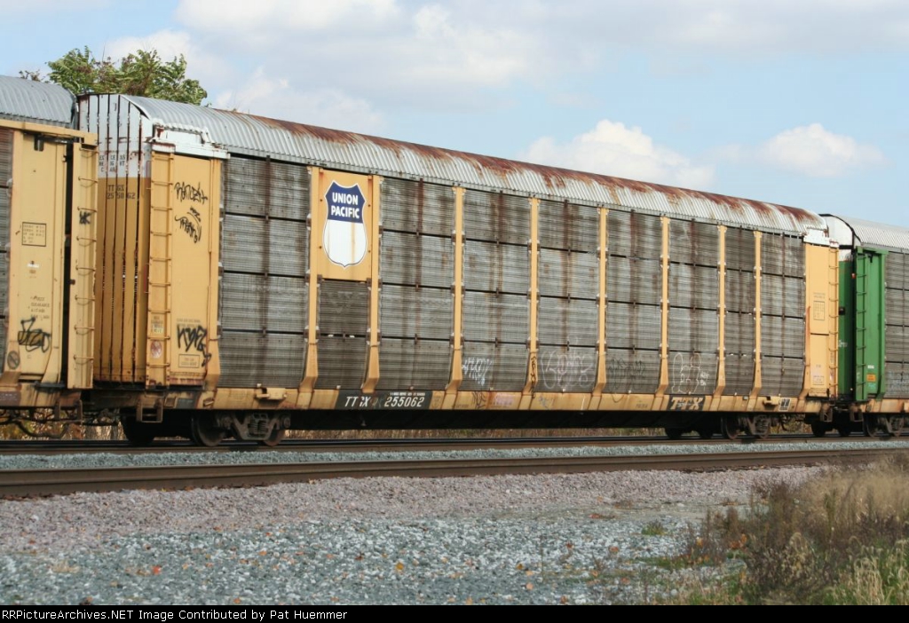 TTGX 255062