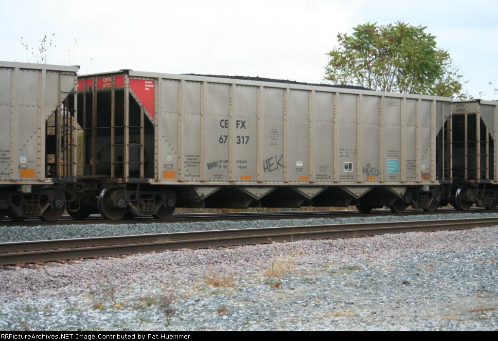 CEFX 67317