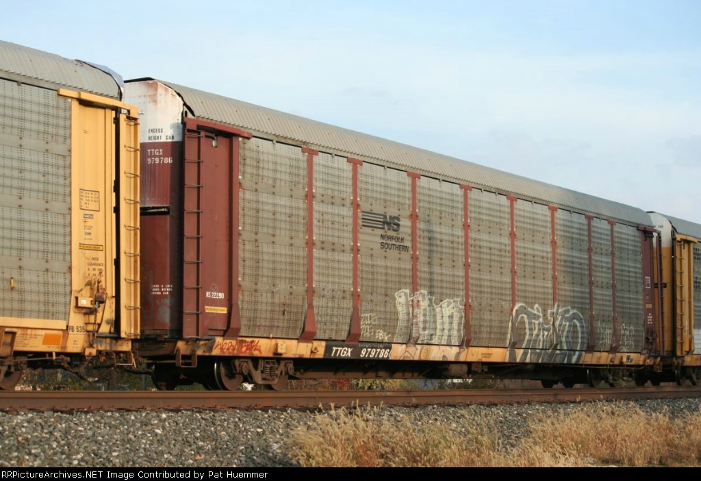 TTGX 979786