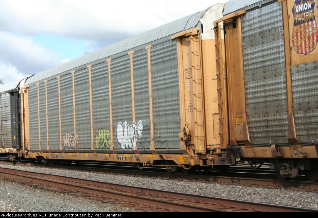 TTGX 820310