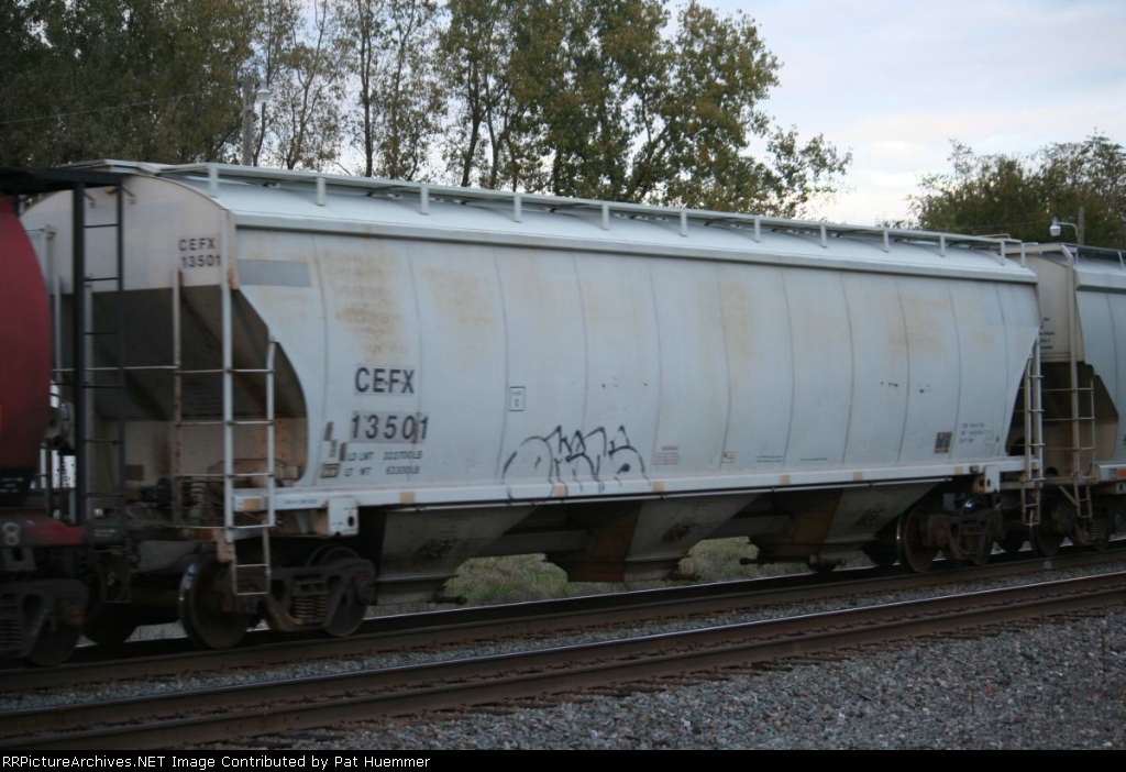 CEFX 13501