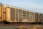 CPAA 543005