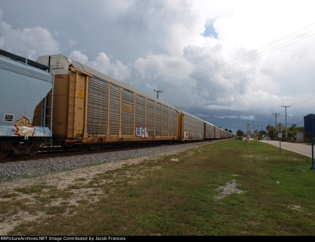 TTGX 987625