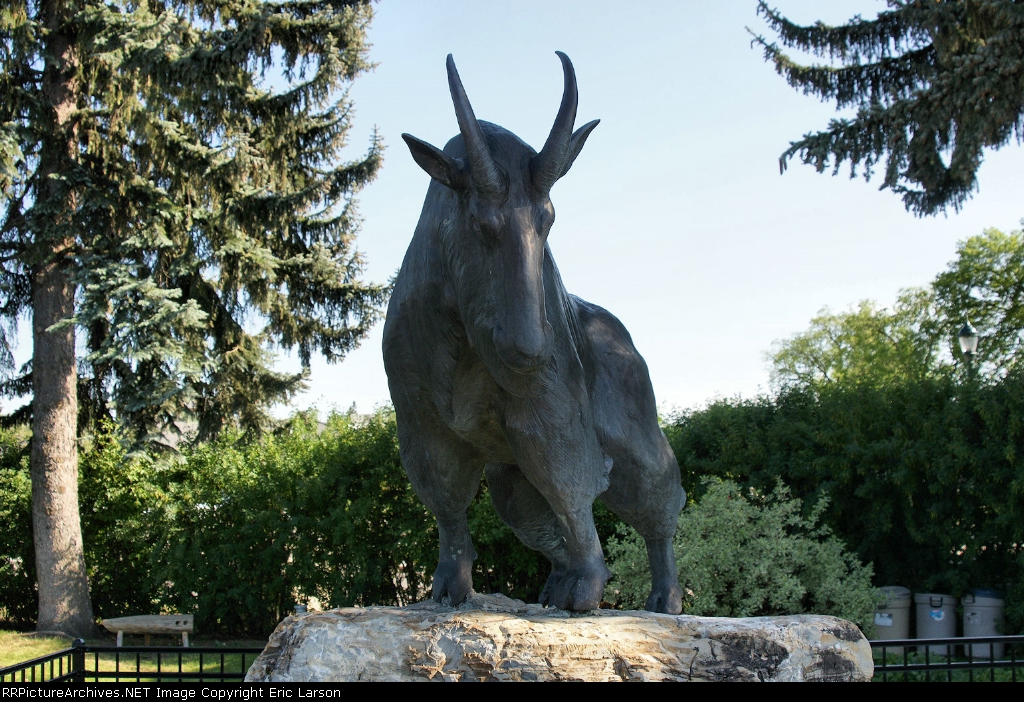 GN Mountain Goat Whitefish Montana