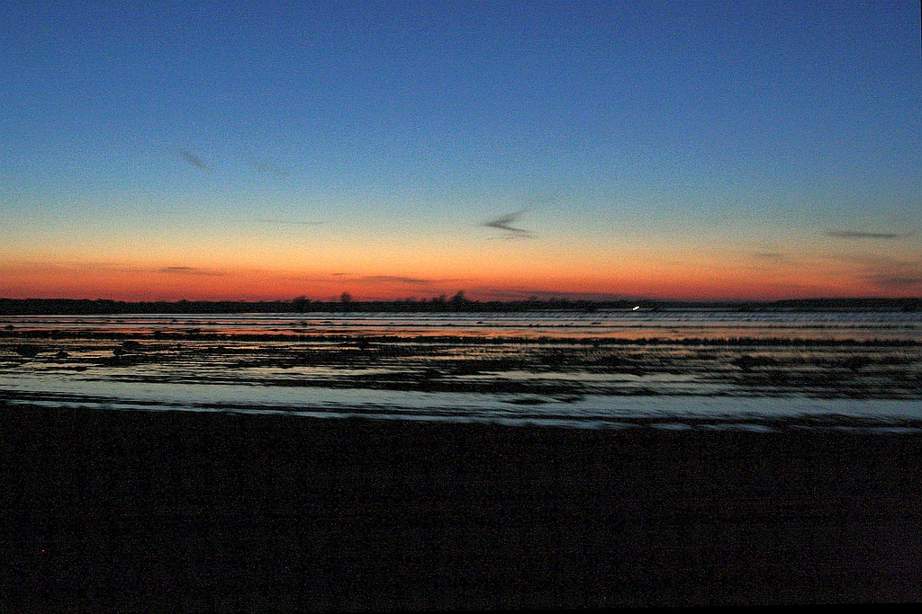 Sunset over rice fields