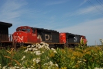 cn 5250