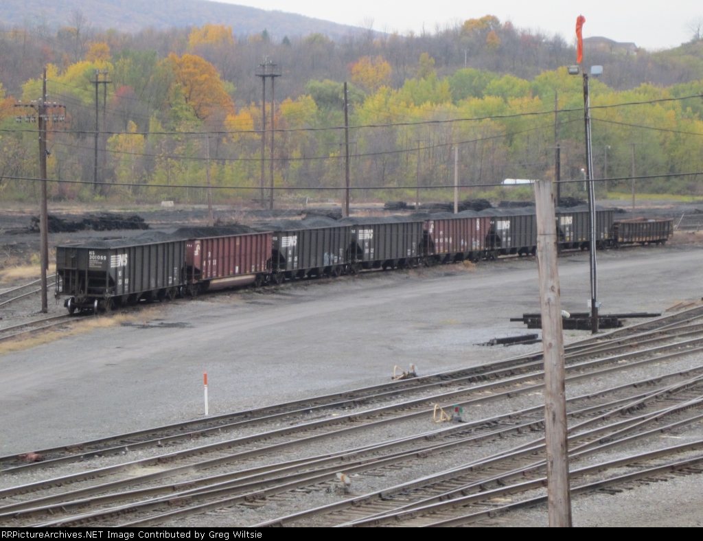 A row of NS and CR coal cars