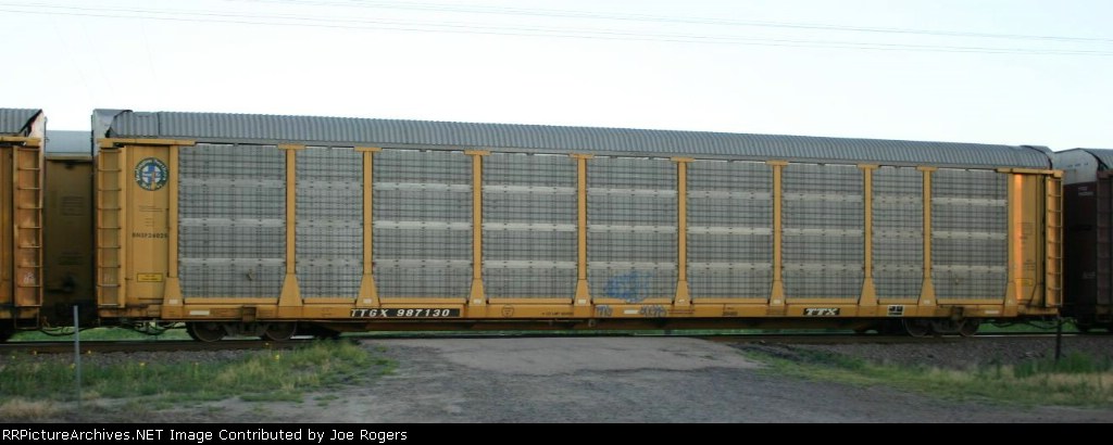 TTGX 987130