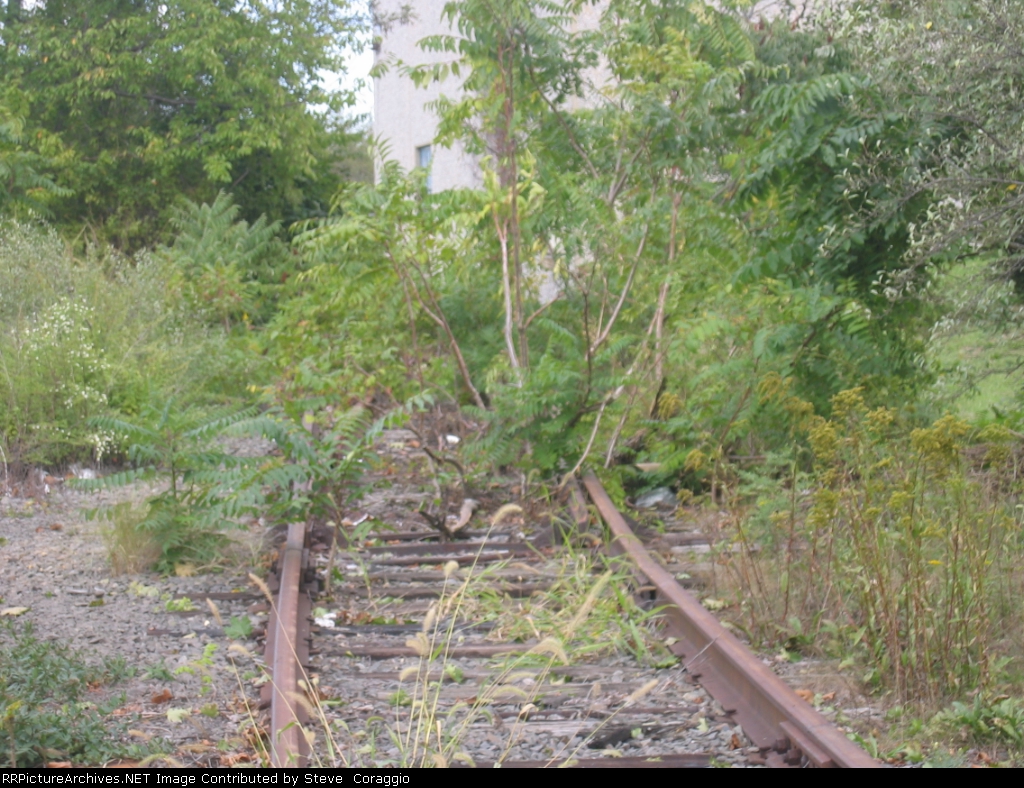 Abandoned /old siding/spur 