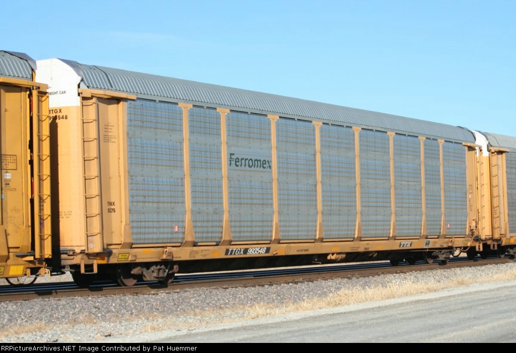 TTGX 993548