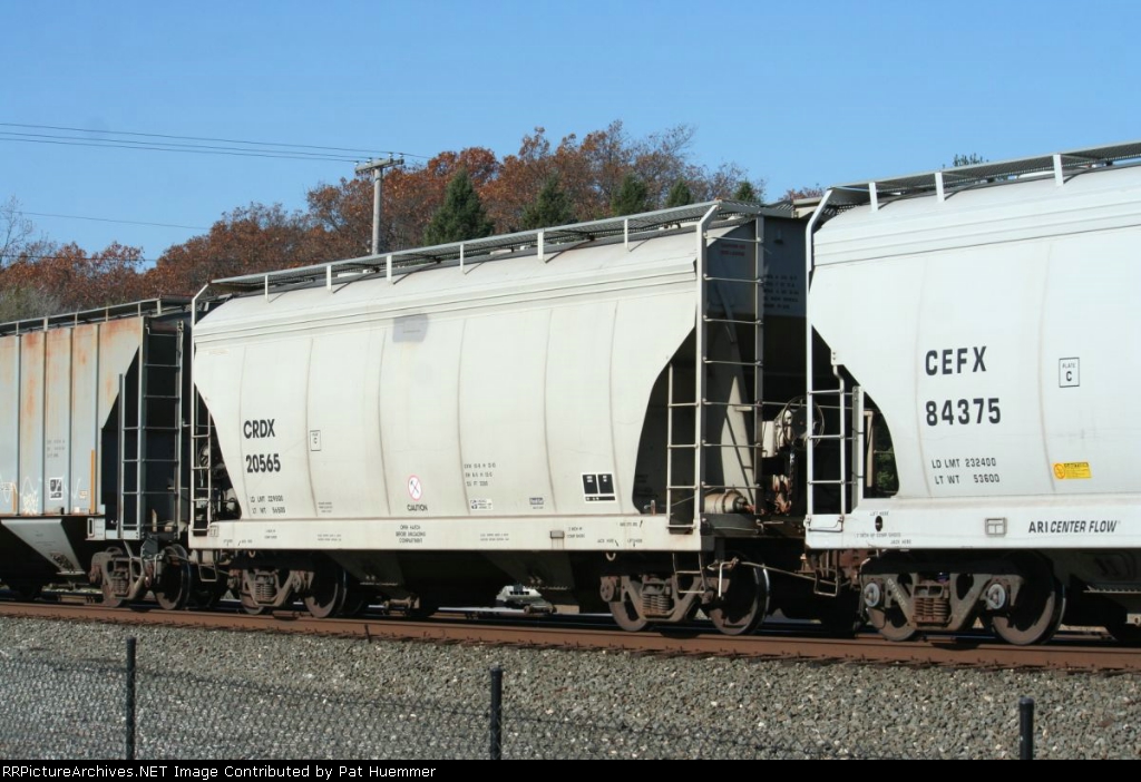 CRDX 20565
