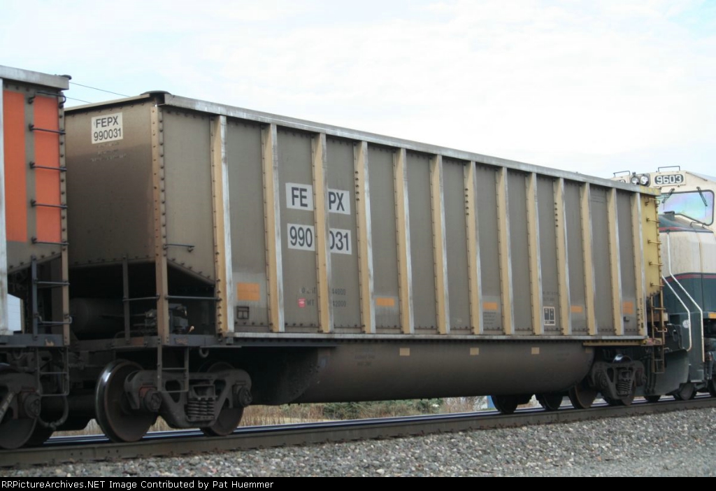 FEPX 990031