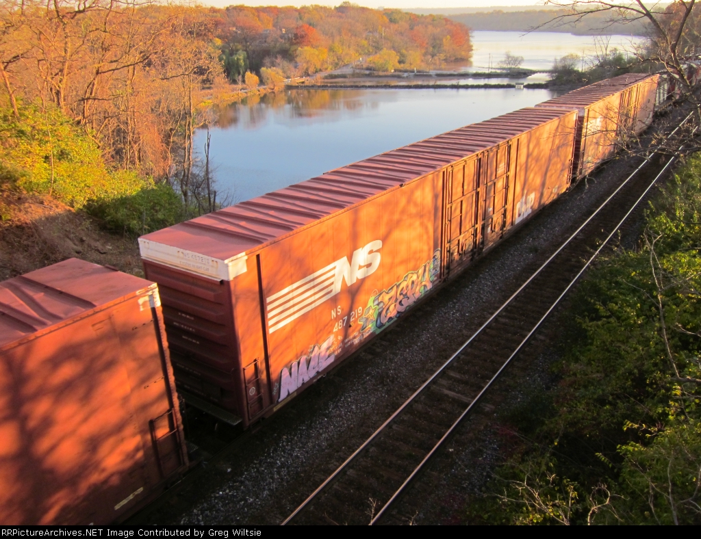 NS 487219