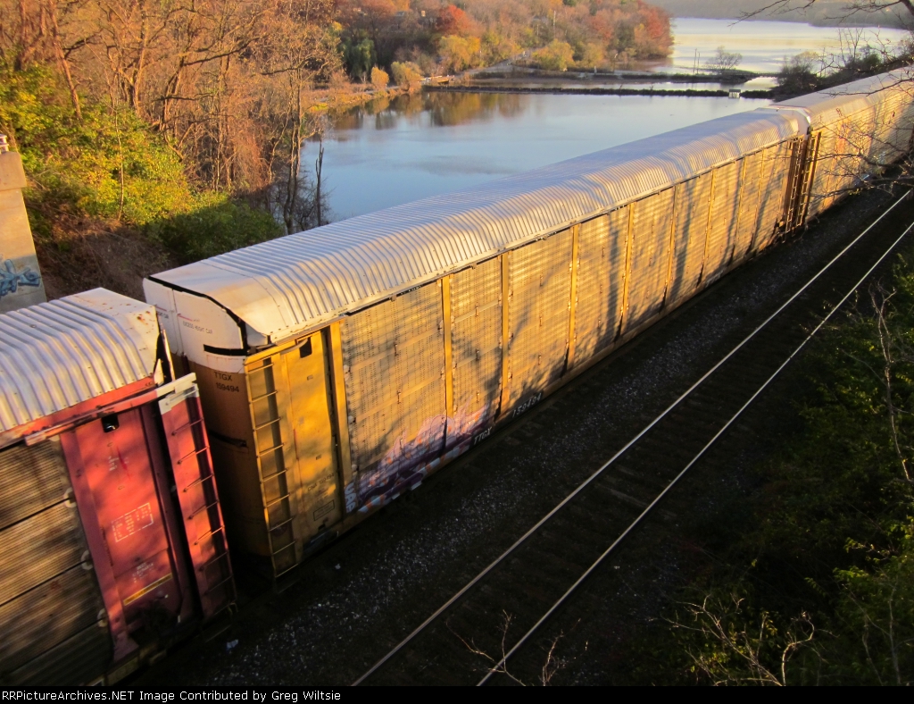TTGX 159494