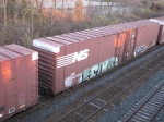 NS 487932