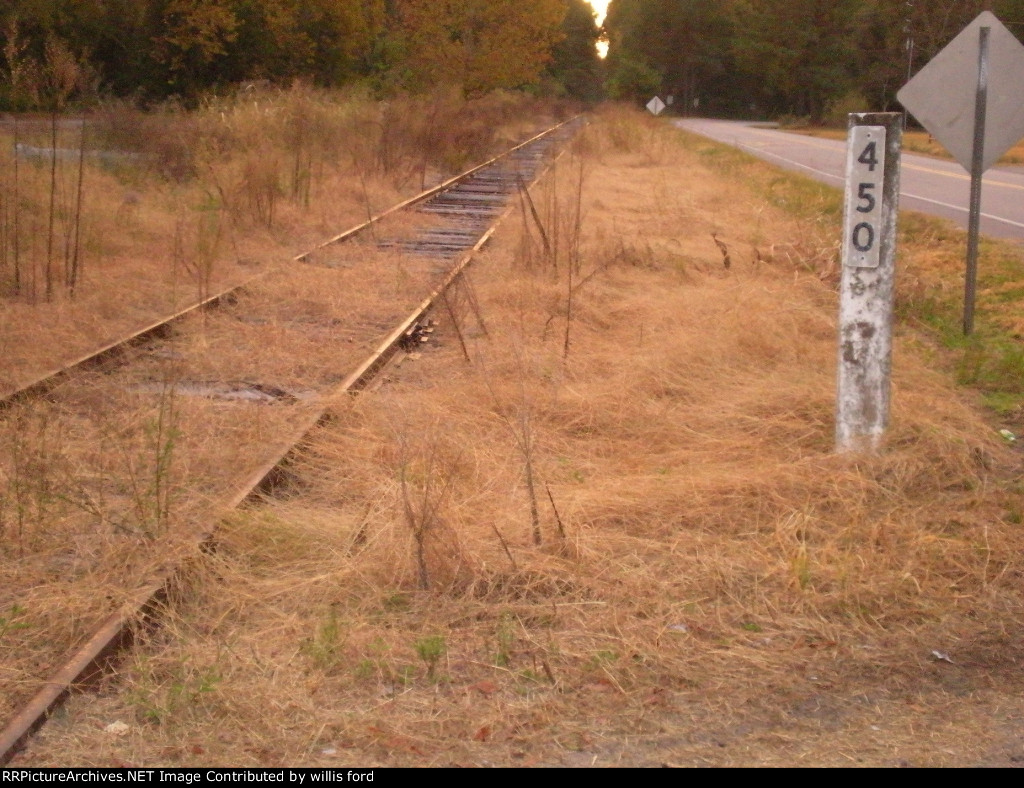 Tracks in Sheldon