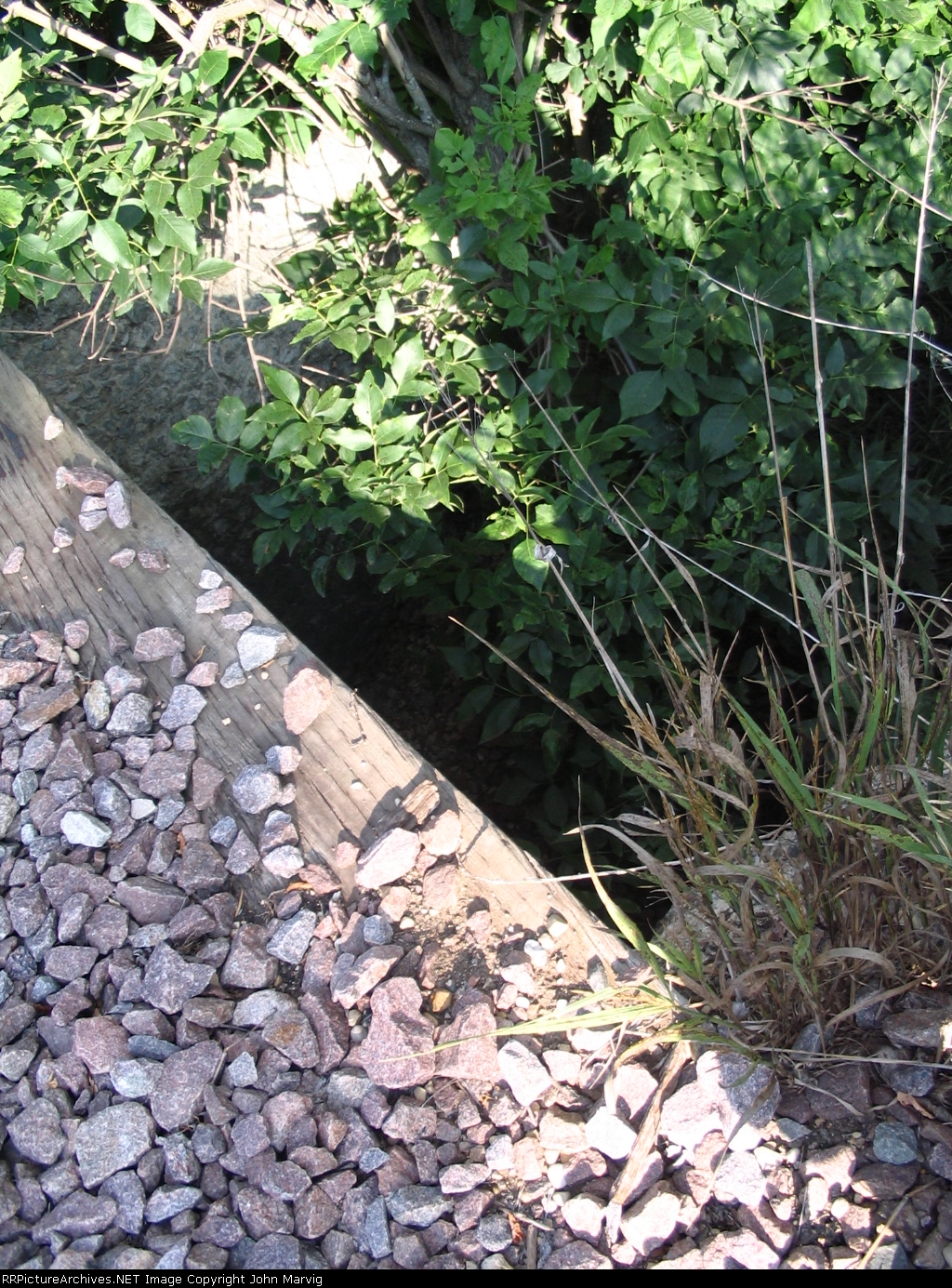 Wood walkway on Twin Cities Western Culvert