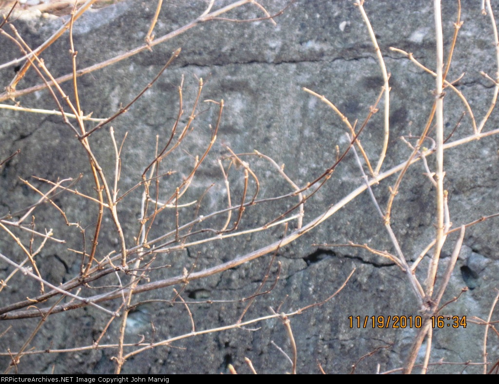 Date stamp on Twin Cities Western Culvert near bavaria road