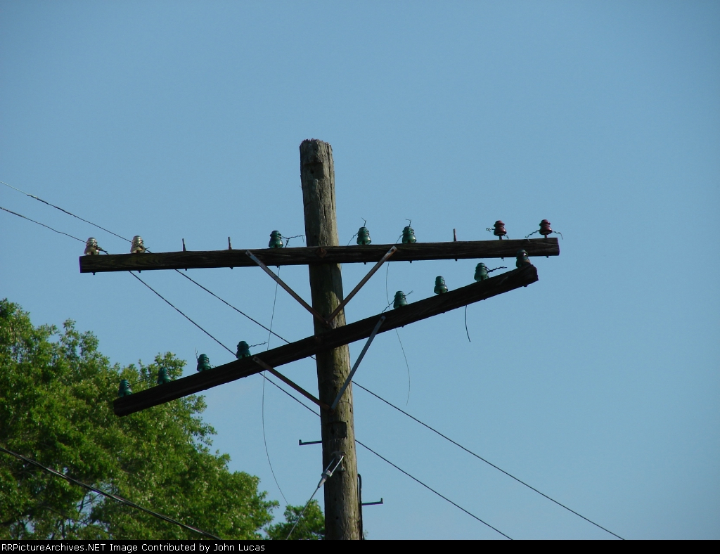 Telephone Pole