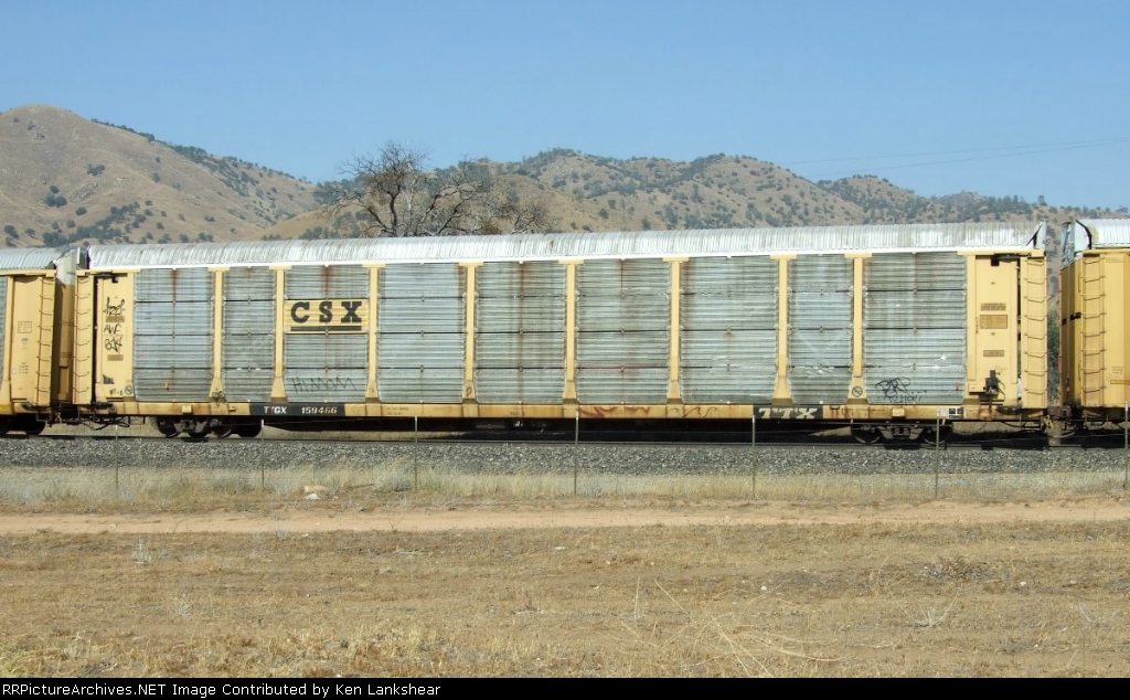 TTGX 159466
