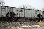 NS 31551