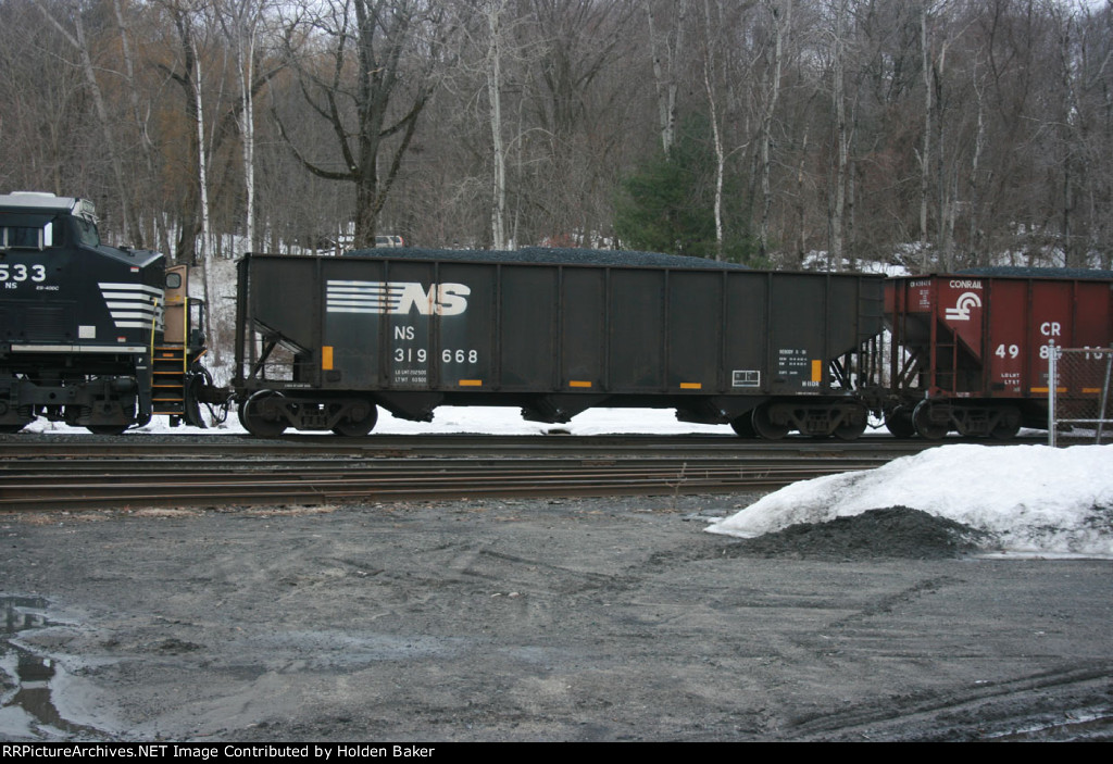 NS 319668