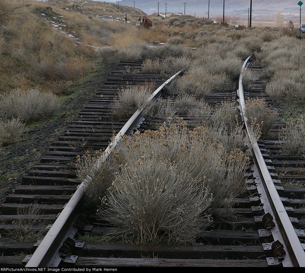 This Way to Royal City