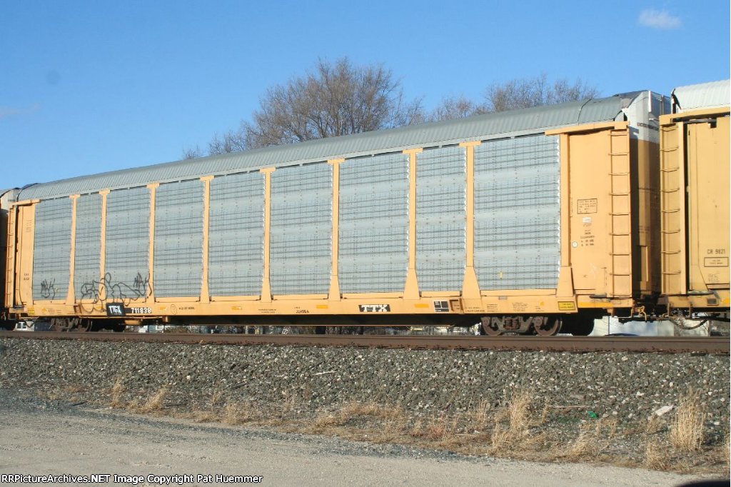 TTGX 711838