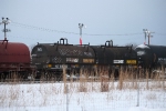 NS 169790