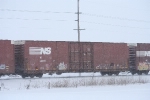 NS 488177