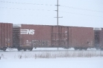 NS 487312