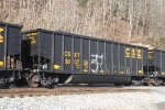 CSX 300738
