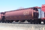 CNLX 7668